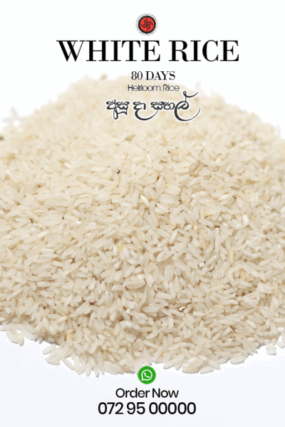 80 Days rice