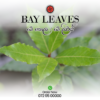 Bay Leaves