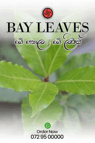 Bay Leaves