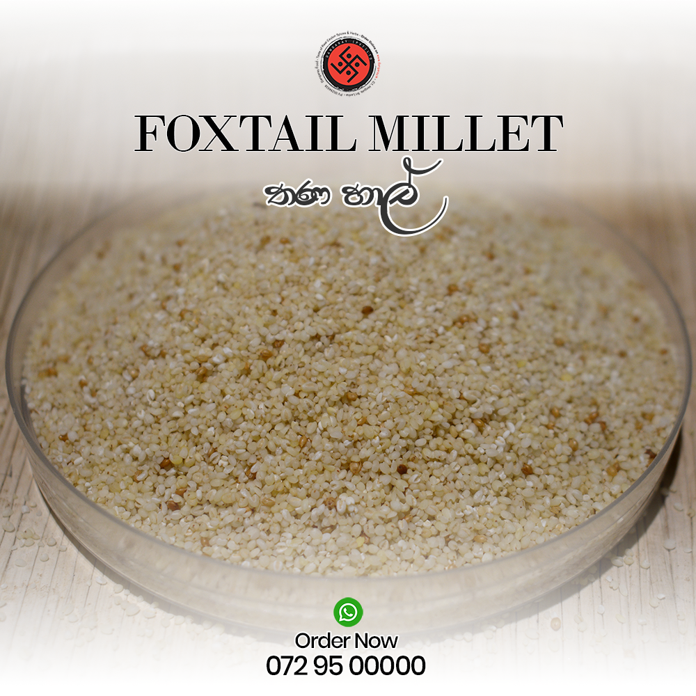 Foxtail Millet Java Foxtail Millet - (තණ හාල්) - Dangaray Organic Food Store
