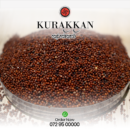 Kurakkan (කුරක්කන්)