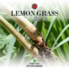 Lemon Grass – (සේර)