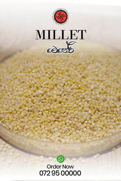 Millet (මෙනේරි)