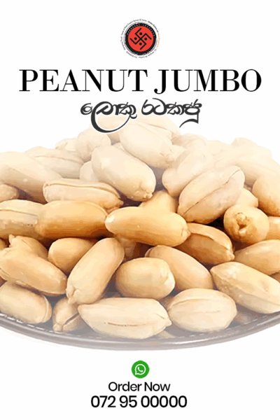 Peanut Jumbo (ලොකු රටකජු)