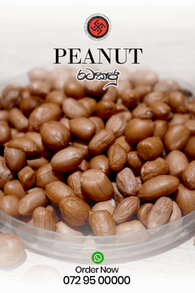 Peanut – (රටකජු)